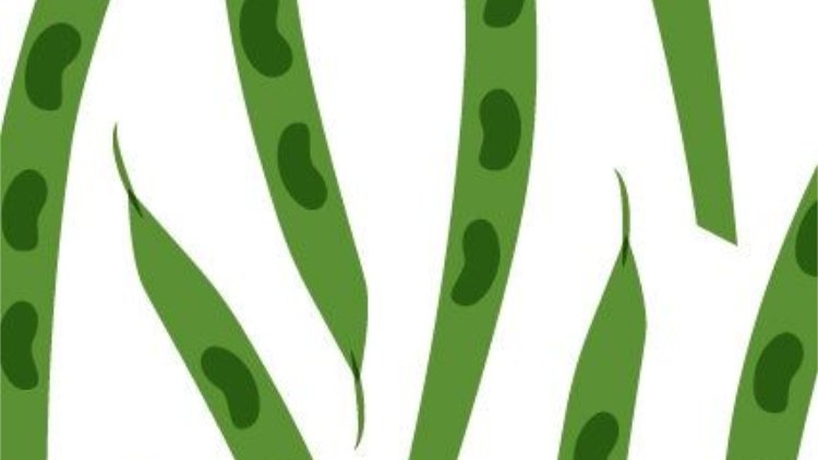 8.When you cook, which vegetable do you most often reach for?
