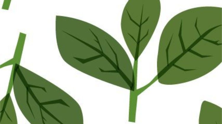 9.Which vegetable's growth process do you find most fascinating?