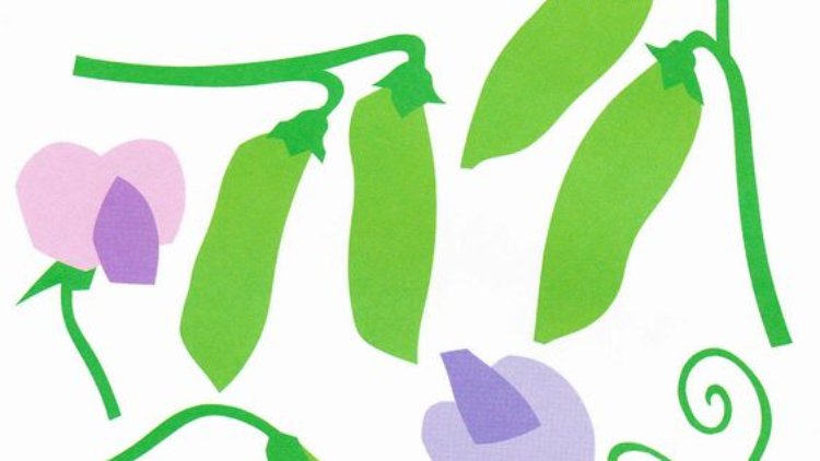 10.If you were to write a poem about a vegetable, which would it be?