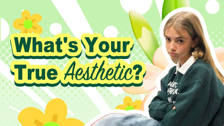 What's Your True Aesthetic?